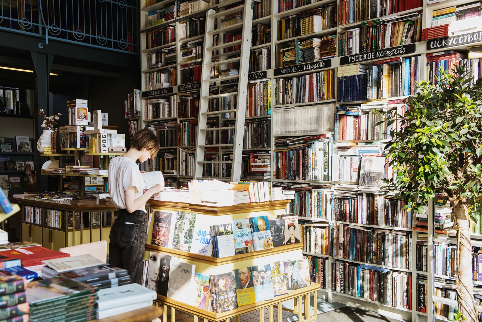 A person reads a book in a sunlit bookstore filled with shelves of books