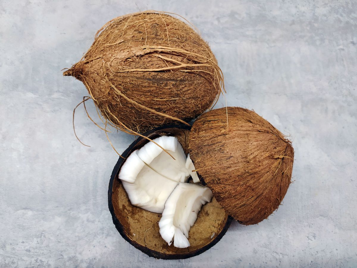 Whole and split coconuts showing white flesh, the raw material coconut candle wax is refined from