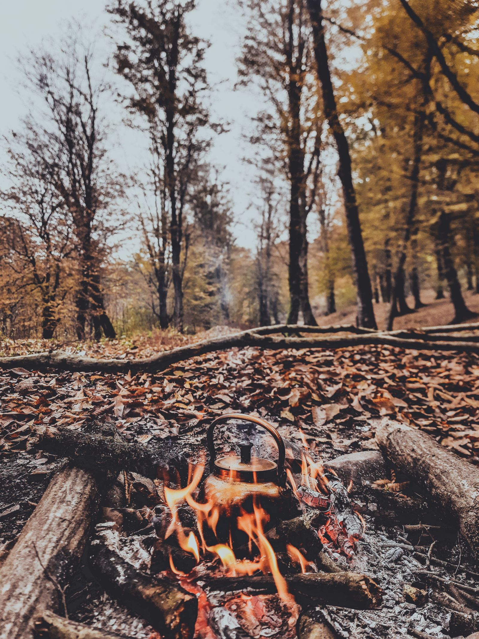 A bonfire burning in a forest clearing in autumn